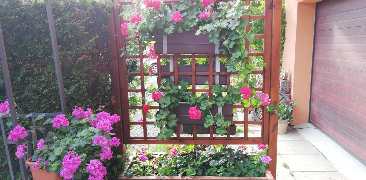 Apartmány u Jiroušů Rokytnice nad Jizerou Kültér fotó